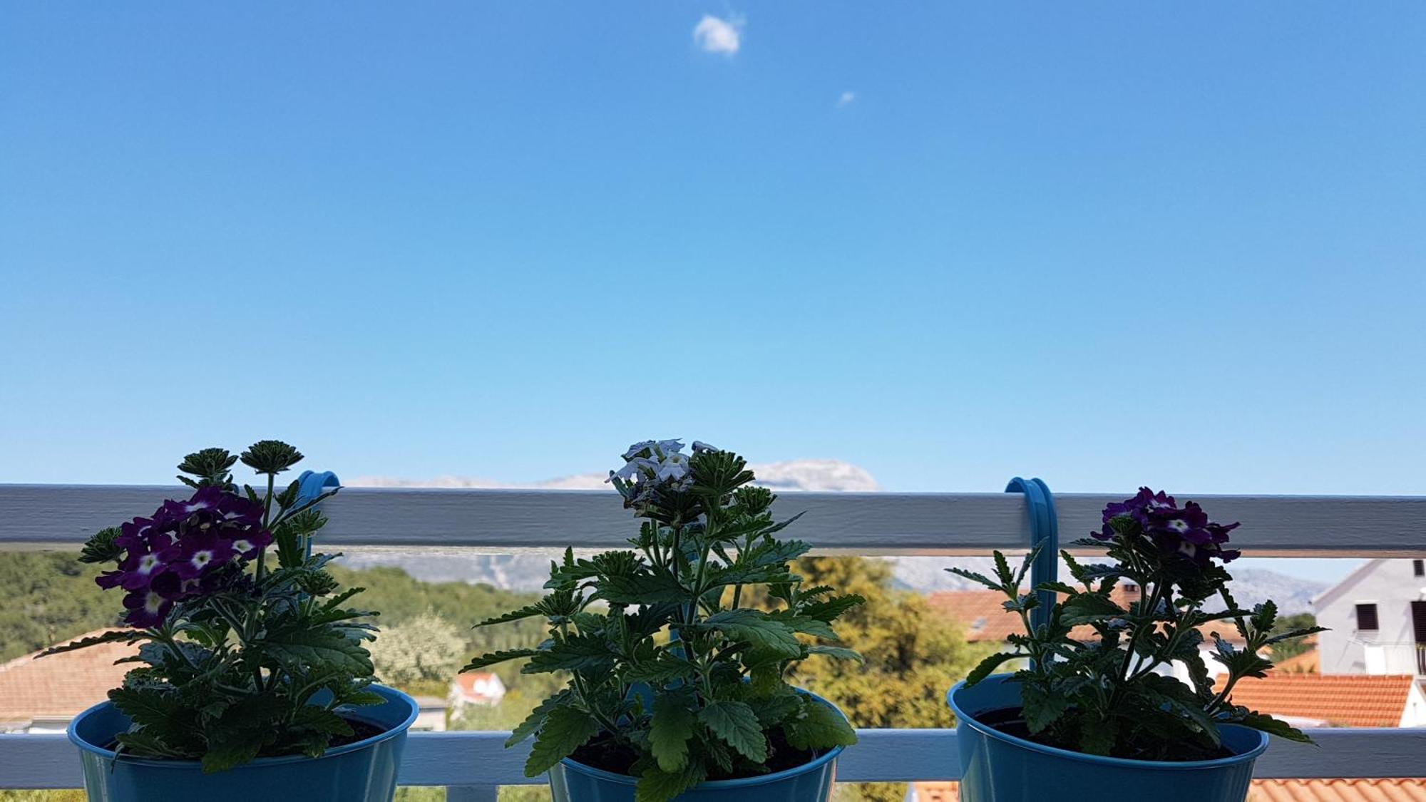Apartman Lucija Korčula Extérieur photo