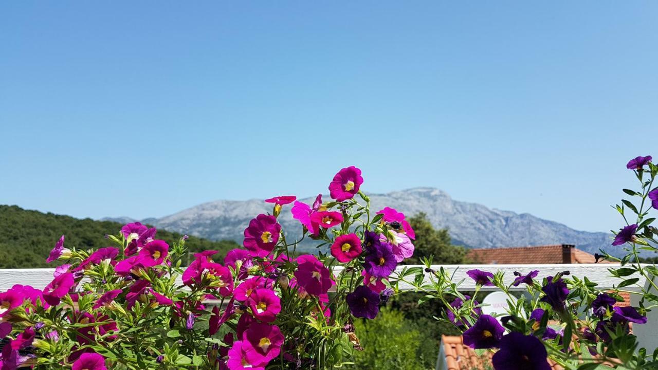 Apartman Lucija Korčula Extérieur photo