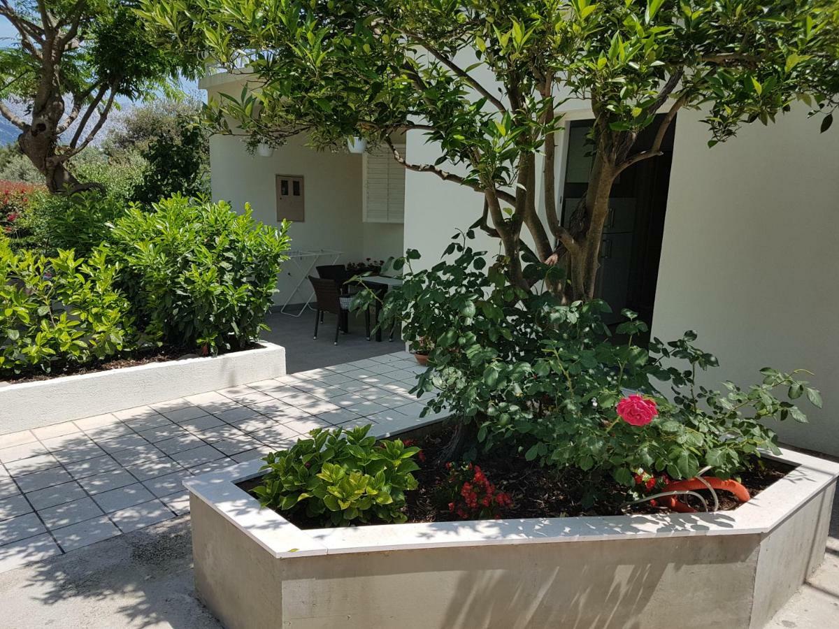Apartman Lucija Korčula Extérieur photo