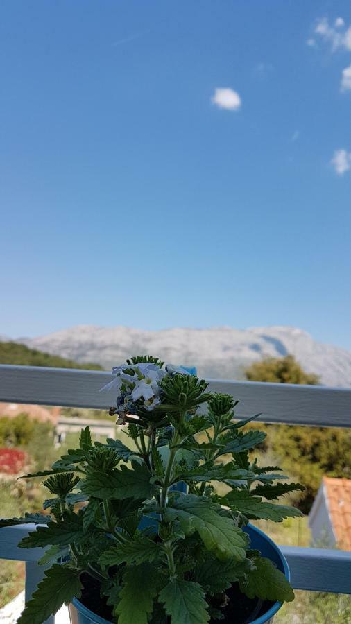 Apartman Lucija Korčula Extérieur photo