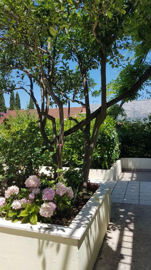 Apartman Lucija Korčula Extérieur photo