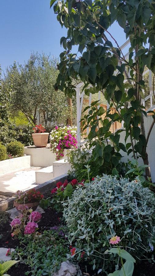 Apartman Lucija Korčula Extérieur photo